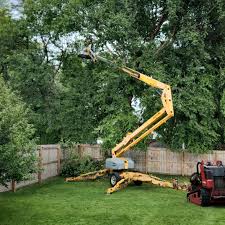 Best Hazardous Tree Removal  in Jonesville, NC