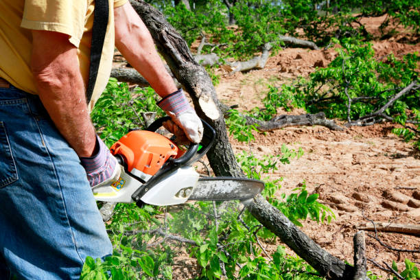 Best Emergency Tree Removal  in Jonesville, NC